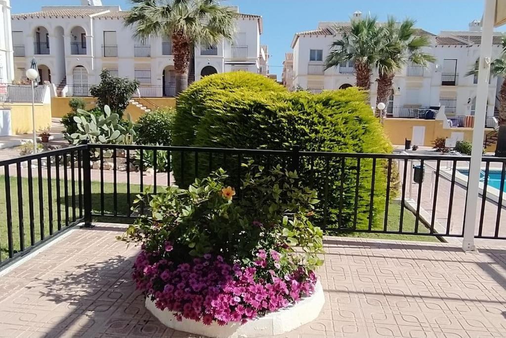 Villamartin Golf Lovers Home San Miguel De Salinas Ngoại thất bức ảnh